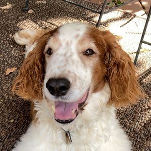 Meet your Posher, Jen